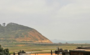 Torrey Pines